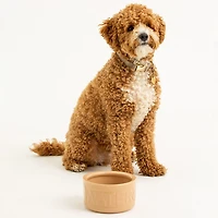 Mason Cash Cane Dog Bowl