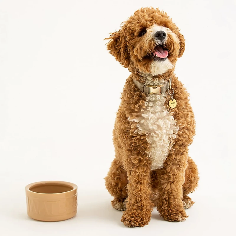 Mason Cash Cane Dog Bowl