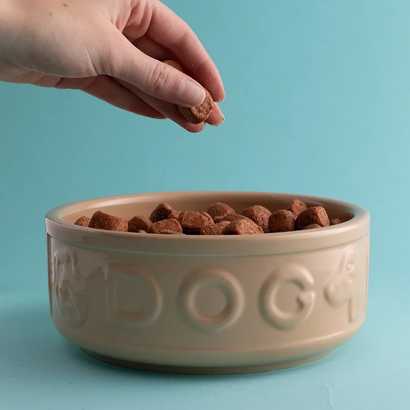 Mason Cash 7 in Dog Bowl Cane