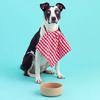 Mason Cash 7 in Dog Bowl Cane