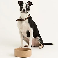 Mason Cash 7 in Dog Bowl Cane