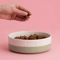 Mason Cash Speckle Dip Dog Bowl