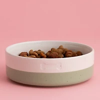 Mason Cash Speckle Dip Dog Bowl