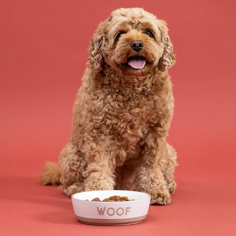 Mason Cash Woof Dog Bowl