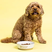 Mason Cash Woof Dog Bowl