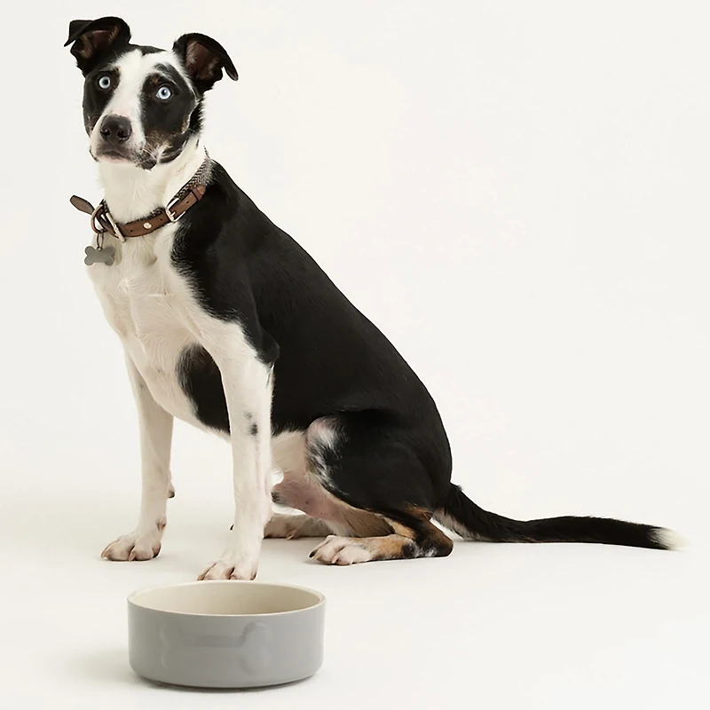 Mason Cash Embossed Bone Dog Bowl