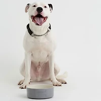 Mason Cash Embossed Bone Dog Bowl