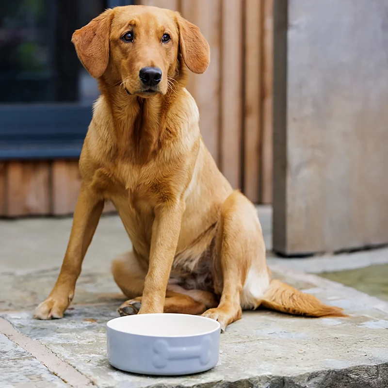 Mason Cash Embossed Bone Dog Bowl