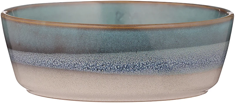 Mason Cash Reactive Fade Dog Bowl