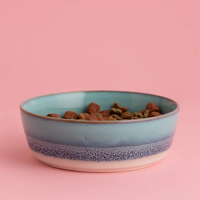 Mason Cash Reactive Fade Dog Bowl