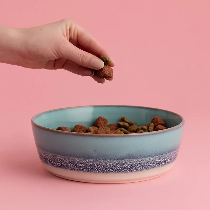 Mason Cash Reactive Fade Dog Bowl