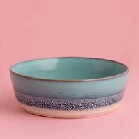 Mason Cash Reactive Fade Dog Bowl