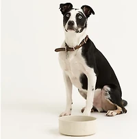 Mason Cash Embossed Bone Dog Bowl
