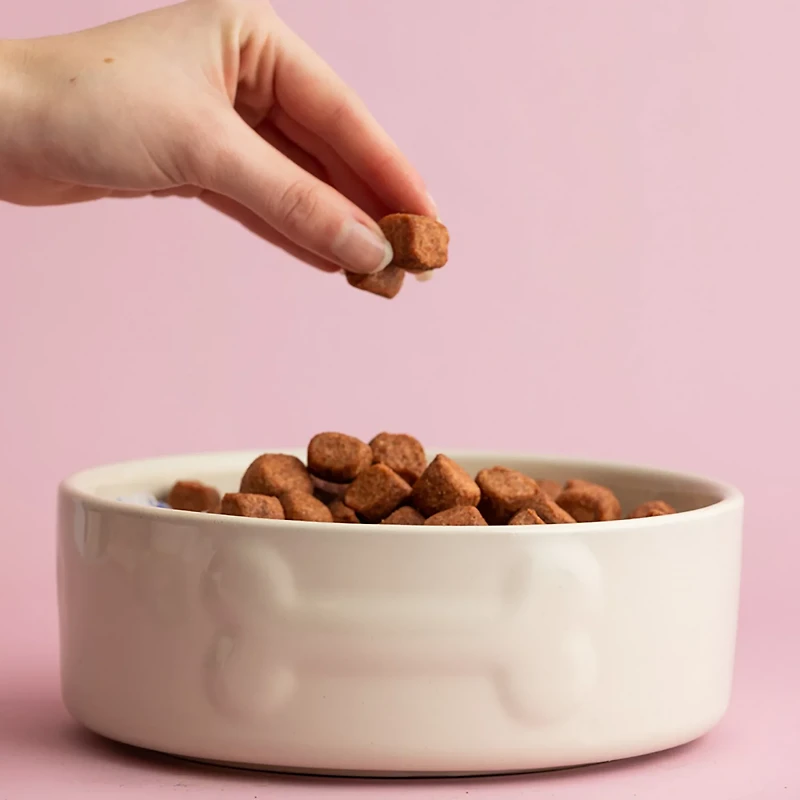 Mason Cash Embossed Bone Dog Bowl