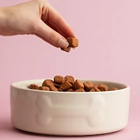 Mason Cash Embossed Bone Dog Bowl