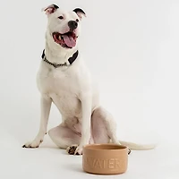 Mason Cash Cane Dog Bowl