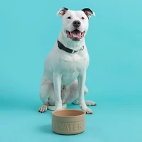 Mason Cash Cane Dog Bowl