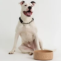 Mason Cash 9.8 in Dog Bowl Cane