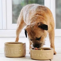 Mason Cash 9.8 in Dog Bowl Cane