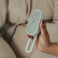 Dexypaws Spritz and Brush Pet Comb