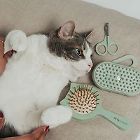 Dexypaws Spritz and Brush Pet Comb
