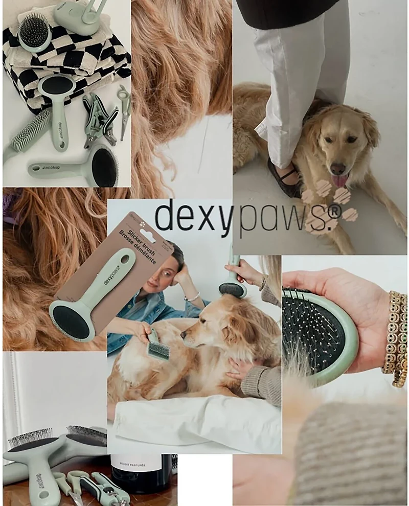 Dexypaws Spritz and Brush Pet Comb