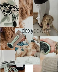 Dexypaws Spritz and Brush Pet Comb