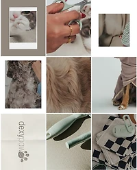 Dexypaws Spritz and Brush Pet Comb