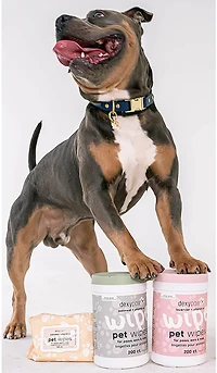 Dexypaws Oatmeal and Vitamin E Pet Wipes 200-Count