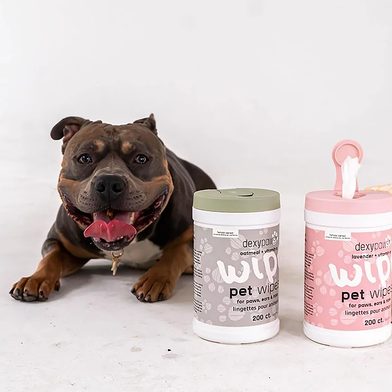 Dexypaws Oatmeal and Vitamin E Pet Wipes 200-Count