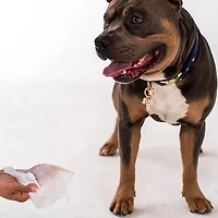 Dexypaws Lavender Cleansing Wipes Canister