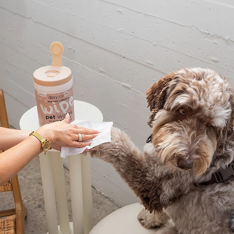 Dexypaws Lavender Cleansing Wipes Canister