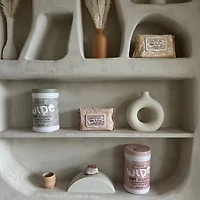 Dexypaws Lavender Cleansing Wipes Canister