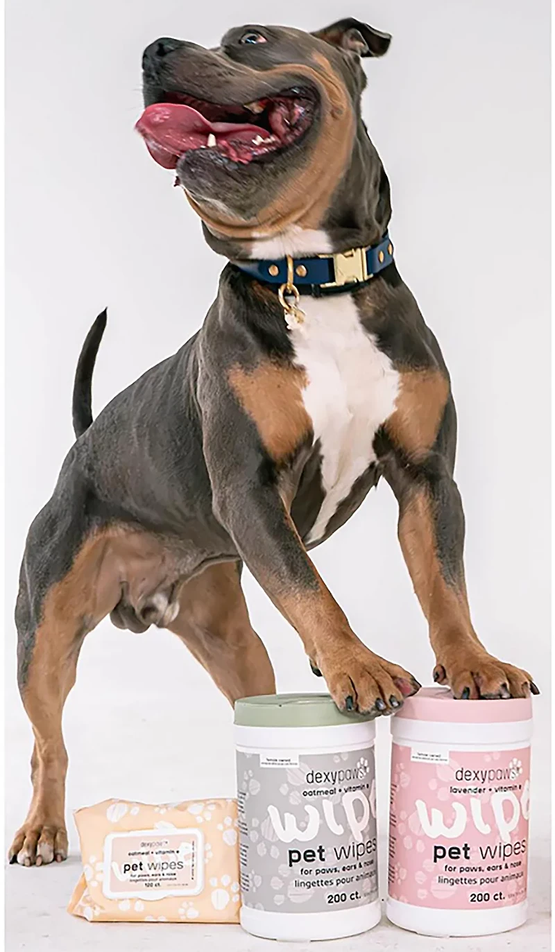 Dexypaws Lavender Cleansing Wipes Canister