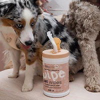 Dexypaws Cleansing Wipes Canister