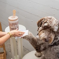 Dexypaws Cleansing Wipes Canister