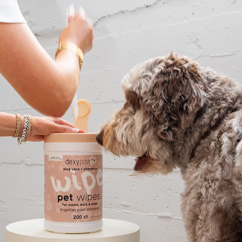 Dexypaws Cleansing Wipes Canister