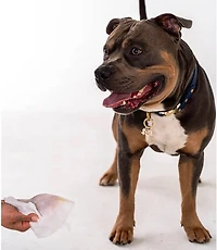 Dexypaws Cleansing Wipes Canister