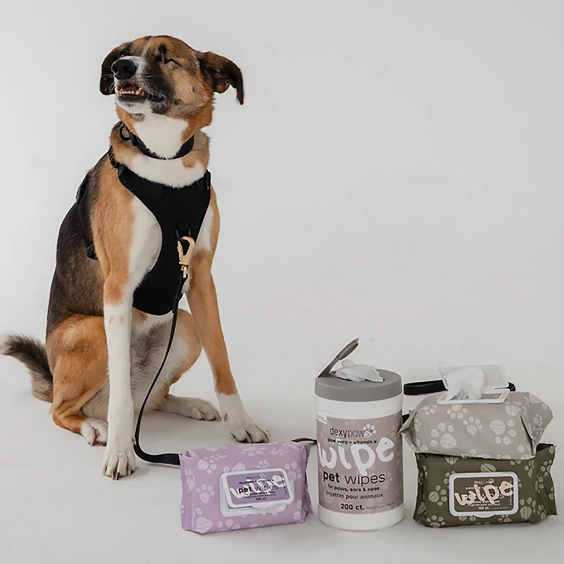 Dexypaws Cleansing Wipes Canister