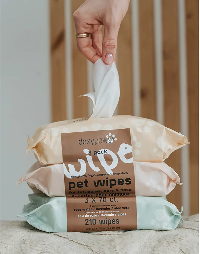Dexypaws Cleansing Wipes 3-Pack