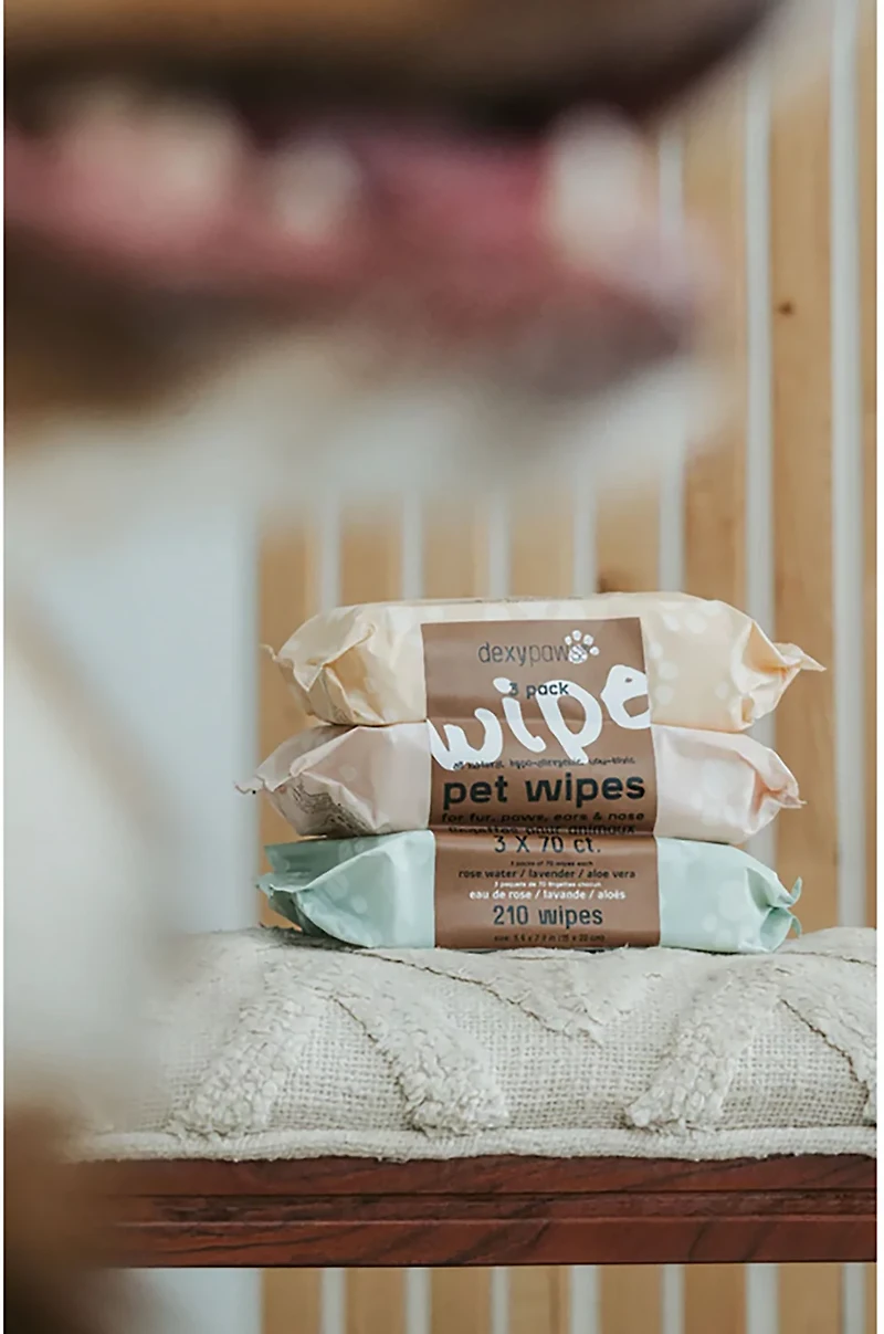 Dexypaws Cleansing Wipes 3-Pack