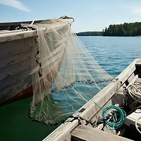 Betts® Mullet 10' Cast Net