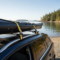 Malone Auto Racks MPG307 Load Straps 2-Pack