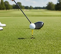 Players Gear 3-1/4 in No Resistance Mixed Lined Golf Tees 30-Pack