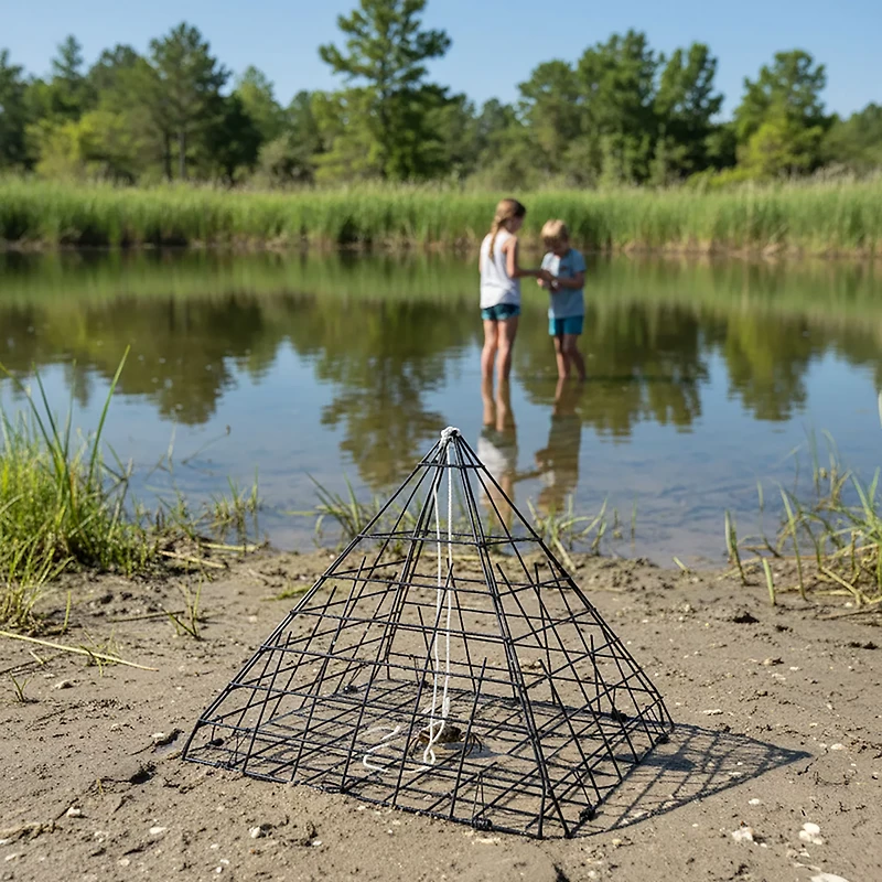 Eagle Claw Star Crab Trap