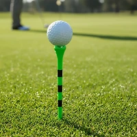 JEF World of Golf Pride 3-1/4 in Fruit Plastic Golf Tees