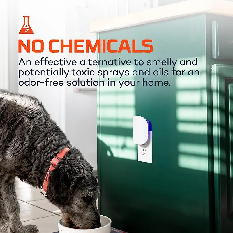 NEBO Flying Insect Trap Refill Cards 6-Pack