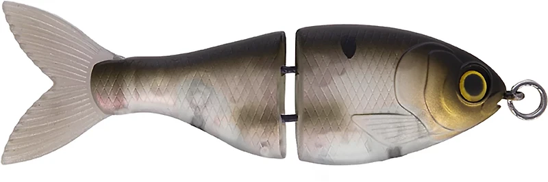 Mike Bucca BFS 2-1/2 in. Trick Shad Swimbait