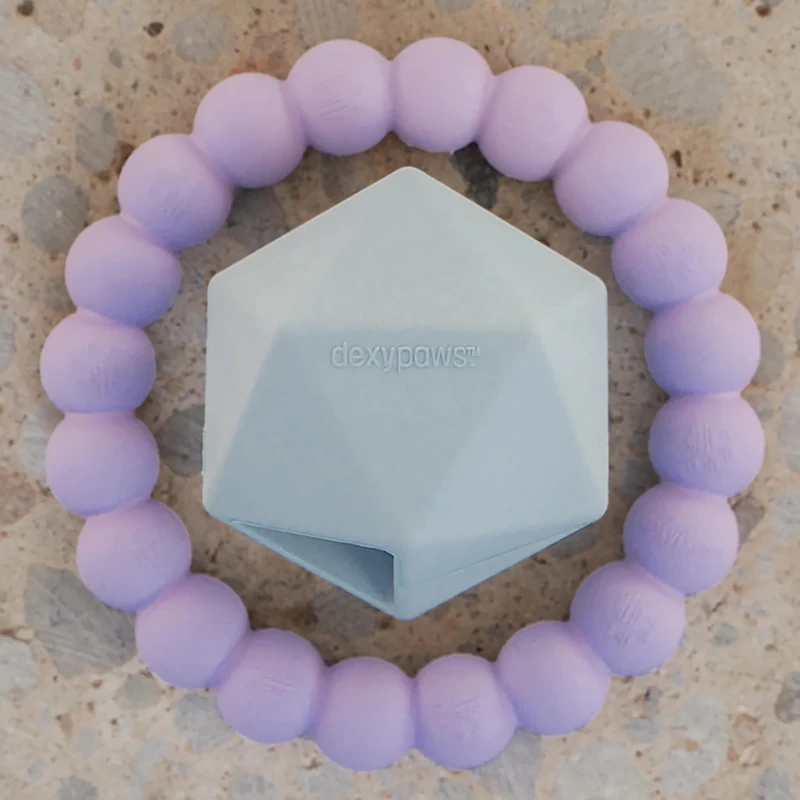 Dexypaws Chew Master Set