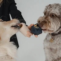 Dexypaws Power Duo Toy Set